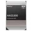 მყარი დისკი Synology HAS5300-12T HDD 12TB - TechMall.geმყარი დისკი Synology HAS5300-12T HDD 12TB - TechMall.ge ,მყარი დისკი Synology HAS5300-12T HDD 12TB - TechMall.ge