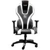 სათამაშო სავარძელი E-BLUE Auroza gaming chair – WHITE (EEC410BWAA-IA) - TechMall.geსათამაშო სავარძელი E-BLUE Auroza gaming chair – WHITE (EEC410BWAA-IA) - TechMall.ge ,სათამაშო სავარძელი E-BLUE Auroza gaming chair – WHITE (EEC410BWAA-IA) - TechMall.ge