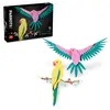 ლეგო LEGO Constructor ART THE FAUNA COLLECTION – MACAW PARROTS - TechMall.geლეგო LEGO Constructor ART THE FAUNA COLLECTION – MACAW PARROTS - TechMall.ge ,ლეგო LEGO Constructor ART THE FAUNA COLLECTION – MACAW PARROTS - TechMall.ge