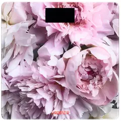 სასწორი Ardesto Scales SCB-965PEONIES - TechMall.geსასწორი Ardesto Scales SCB-965PEONIES - TechMall.ge ,სასწორი Ardesto Scales SCB-965PEONIES - TechMall.ge