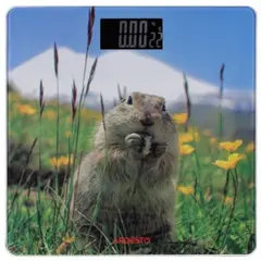 სასწორი Ardesto Scales for floor MARMOT, 150кг, 2хААА included,glass, multi-colored - TechMall.geსასწორი Ardesto Scales for floor MARMOT, 150кг, 2хААА included,glass, multi-colored - TechMall.ge ,სასწორი Ardesto Scales for floor MARMOT, 150кг, 2хААА included,glass, multi-colored - TechMall.ge