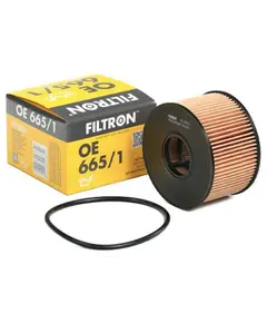 ზეთის ფილტრი Filtron OE665/1 - TechMall.geზეთის ფილტრი Filtron OE665/1 - TechMall.ge ,ზეთის ფილტრი Filtron OE665/1 - TechMall.ge