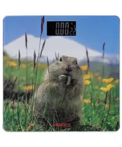 სასწორი Ardesto Scales for floor MARMOT, 150кг, 2хААА included,glass, multi-colored - TechMall.geსასწორი Ardesto Scales for floor MARMOT, 150кг, 2хААА included,glass, multi-colored - TechMall.ge ,სასწორი Ardesto Scales for floor MARMOT, 150кг, 2хААА included,glass, multi-colored - TechMall.ge