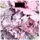 სასწორი Ardesto Scales SCB-965PEONIES - TechMall.geსასწორი Ardesto Scales SCB-965PEONIES - TechMall.ge ,სასწორი Ardesto Scales SCB-965PEONIES - TechMall.ge