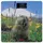 სასწორი Ardesto Scales for floor MARMOT, 150кг, 2хААА included,glass, multi-colored - TechMall.geსასწორი Ardesto Scales for floor MARMOT, 150кг, 2хААА included,glass, multi-colored - TechMall.ge ,სასწორი Ardesto Scales for floor MARMOT, 150кг, 2хААА included,glass, multi-colored - TechMall.ge სასწორი Ardesto Scales for floor MARMOT, 150кг, 2хААА included,glass, multi-colored - TechMall.geსასწორი Ardesto Scales for floor MARMOT, 150кг, 2хААА included,glass, multi-colored - TechMall.ge ,სასწორი Ardesto Scales for floor MARMOT, 150кг, 2хААА included,glass, multi-colored - TechMall.ge