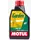 ზეთი MOTUL GARDEN SAE 30 4T 1L - TechMall.geზეთი MOTUL GARDEN SAE 30 4T 1L - TechMall.ge ,ზეთი MOTUL GARDEN SAE 30 4T 1L - TechMall.ge
