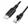 კაბელი Logilink CU0412 USB-C 3.2 to RJ45 (CAT6) Ethernet Cable Adapter 2m - TechMall.geკაბელი Logilink CU0412 USB-C 3.2 to RJ45 (CAT6) Ethernet Cable Adapter 2m - TechMall.ge ,კაბელი Logilink CU0412 USB-C 3.2 to RJ45 (CAT6) Ethernet Cable Adapter 2m - TechMall.ge
