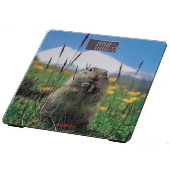 სასწორი Ardesto Scales for floor MARMOT, 150кг, 2хААА included,glass, multi-colored, 2 image - TechMall.geსასწორი Ardesto Scales for floor MARMOT, 150кг, 2хААА included,glass, multi-colored, 2 image - TechMall.ge ,სასწორი Ardesto Scales for floor MARMOT, 150кг, 2хААА included,glass, multi-colored, 2 image - TechMall.ge