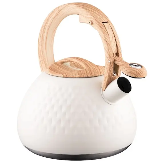 ჩაიდანი Ardesto Kettle Gemini, 2.5l, stainless steel, beige, 2 image - TechMall.geჩაიდანი Ardesto Kettle Gemini, 2.5l, stainless steel, beige, 2 image - TechMall.ge ,ჩაიდანი Ardesto Kettle Gemini, 2.5l, stainless steel, beige, 2 image - TechMall.ge