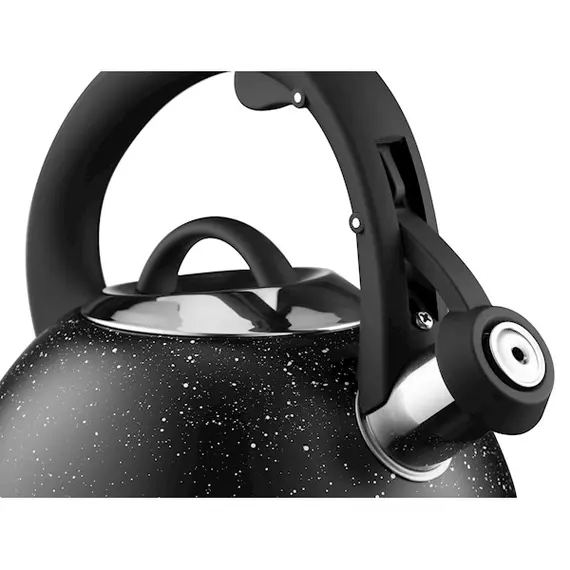 ჩაიდანი Ardesto Kettle Gemini, 2.5l, stainless steel, black, 4 image - TechMall.geჩაიდანი Ardesto Kettle Gemini, 2.5l, stainless steel, black, 4 image - TechMall.ge ,ჩაიდანი Ardesto Kettle Gemini, 2.5l, stainless steel, black, 4 image - TechMall.ge