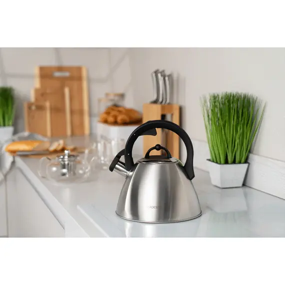 ჩაიდანი Ardesto Kettle Gemini, 2.5l, stainless steel, 4 image - TechMall.geჩაიდანი Ardesto Kettle Gemini, 2.5l, stainless steel, 4 image - TechMall.ge ,ჩაიდანი Ardesto Kettle Gemini, 2.5l, stainless steel, 4 image - TechMall.ge
