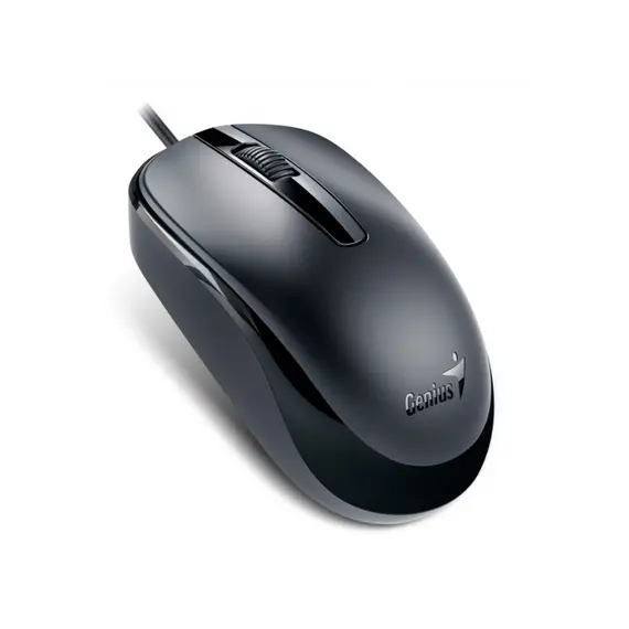მაუსი Genius Mouse DX-120 USB Black - TechMall.geმაუსი Genius Mouse DX-120 USB Black - TechMall.ge ,მაუსი Genius Mouse DX-120 USB Black - TechMall.ge