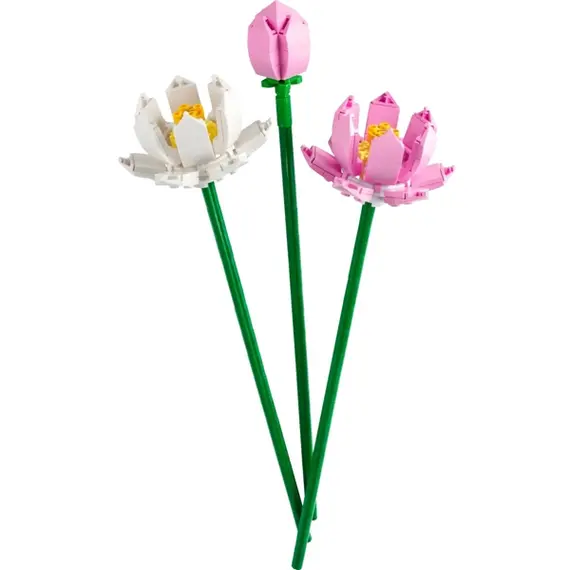 ლეგო LEGO Constructor ICO LOTUS FLOWERS, 3 image - TechMall.geლეგო LEGO Constructor ICO LOTUS FLOWERS, 3 image - TechMall.ge ,ლეგო LEGO Constructor ICO LOTUS FLOWERS, 3 image - TechMall.ge