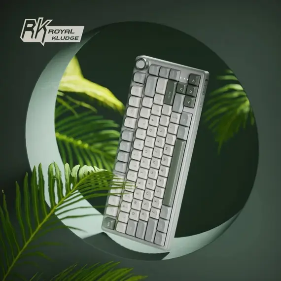 კლავიატურა Royal Kludge RK R75 RGB Mechanical Keyboard, Brown switch, Hot Swappable, Type-C wired, Sky Cyan, 3 image - TechMall.geკლავიატურა Royal Kludge RK R75 RGB Mechanical Keyboard, Brown switch, Hot Swappable, Type-C wired, Sky Cyan, 3 image - TechMall.ge ,კლავიატურა Royal Kludge RK R75 RGB Mechanical Keyboard, Brown switch, Hot Swappable, Type-C wired, Sky Cyan, 3 image - TechMall.ge