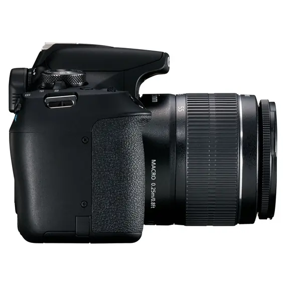 ფოტოაპარატი Canon EOS 2000D Black + Lens EF-S 18-55 IS II, 6 image - TechMall.geფოტოაპარატი Canon EOS 2000D Black + Lens EF-S 18-55 IS II, 6 image - TechMall.ge ,ფოტოაპარატი Canon EOS 2000D Black + Lens EF-S 18-55 IS II, 6 image - TechMall.ge