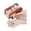 ხის სახანძრო მანქანა goki Machine wooden Fire (red) 55927G, 2 image - TechMall.geხის სახანძრო მანქანა goki Machine wooden Fire (red) 55927G, 2 image - TechMall.ge ,ხის სახანძრო მანქანა goki Machine wooden Fire (red) 55927G, 2 image - TechMall.ge
