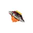 მექანიკური სათამაშო AULDEY Close Pack-Blade, 3 image - TechMall.geმექანიკური სათამაშო AULDEY Close Pack-Blade, 3 image - TechMall.ge ,მექანიკური სათამაშო AULDEY Close Pack-Blade, 3 image - TechMall.ge