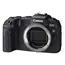 ფოტოაპარატი Canon EOS RP Body, 2 image - TechMall.geფოტოაპარატი Canon EOS RP Body, 2 image - TechMall.ge ,ფოტოაპარატი Canon EOS RP Body, 2 image - TechMall.ge