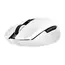 მაუსი Razer Gaming Mouse Orochi V2 WL, 2 image - TechMall.geმაუსი Razer Gaming Mouse Orochi V2 WL, 2 image - TechMall.ge ,მაუსი Razer Gaming Mouse Orochi V2 WL, 2 image - TechMall.ge