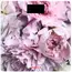 სასწორი Ardesto Scales SCB-965PEONIES - TechMall.geსასწორი Ardesto Scales SCB-965PEONIES - TechMall.ge ,სასწორი Ardesto Scales SCB-965PEONIES - TechMall.ge