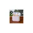 ყურსასმენი House Of Marley Rebel True Wireless Earbuds White (EM-JE121-CE), 3 image - TechMall.geყურსასმენი House Of Marley Rebel True Wireless Earbuds White (EM-JE121-CE), 3 image - TechMall.ge ,ყურსასმენი House Of Marley Rebel True Wireless Earbuds White (EM-JE121-CE), 3 image - TechMall.ge