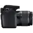 ფოტოაპარატი Canon EOS 2000D+  LENS  18-55 IS STM KIT, 3 image - TechMall.geფოტოაპარატი Canon EOS 2000D+  LENS  18-55 IS STM KIT, 3 image - TechMall.ge ,ფოტოაპარატი Canon EOS 2000D+  LENS  18-55 IS STM KIT, 3 image - TechMall.ge