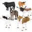 შინაური ცხოველების სათამაშო ნაკრები Terra FARM ANIMAL SET - TechMall.geშინაური ცხოველების სათამაშო ნაკრები Terra FARM ANIMAL SET - TechMall.ge ,შინაური ცხოველების სათამაშო ნაკრები Terra FARM ANIMAL SET - TechMall.ge