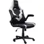 სათამაშო სავარძელი Trust GXT703W Riye, Gaming Chair, White, 2 image - TechMall.geსათამაშო სავარძელი Trust GXT703W Riye, Gaming Chair, White, 2 image - TechMall.ge ,სათამაშო სავარძელი Trust GXT703W Riye, Gaming Chair, White, 2 image - TechMall.ge