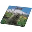 სასწორი Ardesto Scales for floor MARMOT, 150кг, 2хААА included,glass, multi-colored, 2 image - TechMall.geსასწორი Ardesto Scales for floor MARMOT, 150кг, 2хААА included,glass, multi-colored, 2 image - TechMall.ge ,სასწორი Ardesto Scales for floor MARMOT, 150кг, 2хААА included,glass, multi-colored, 2 image - TechMall.ge