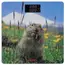 სასწორი Ardesto Scales for floor MARMOT, 150кг, 2хААА included,glass, multi-colored - TechMall.geსასწორი Ardesto Scales for floor MARMOT, 150кг, 2хААА included,glass, multi-colored - TechMall.ge ,სასწორი Ardesto Scales for floor MARMOT, 150кг, 2хААА included,glass, multi-colored - TechMall.ge