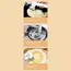 მულტიფუნქციური საწმენდი Xiaomi Lydsto XL-DDQJS01, Multi-function Brush, White, 4 image - TechMall.geმულტიფუნქციური საწმენდი Xiaomi Lydsto XL-DDQJS01, Multi-function Brush, White, 4 image - TechMall.ge ,მულტიფუნქციური საწმენდი Xiaomi Lydsto XL-DDQJS01, Multi-function Brush, White, 4 image - TechMall.ge