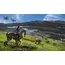 ვიდეო თამაში Sony PS5 Game Avatar Frontiers of Pandora, 7 image - TechMall.geვიდეო თამაში Sony PS5 Game Avatar Frontiers of Pandora, 7 image - TechMall.ge ,ვიდეო თამაში Sony PS5 Game Avatar Frontiers of Pandora, 7 image - TechMall.ge