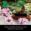 ლეგო LEGO Creator Expert Bonsai Tree, 4 image - TechMall.geლეგო LEGO Creator Expert Bonsai Tree, 4 image - TechMall.ge ,ლეგო LEGO Creator Expert Bonsai Tree, 4 image - TechMall.ge