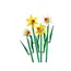 ლეგო LEGO Constructor ICO DAFFODILS, 3 image - TechMall.geლეგო LEGO Constructor ICO DAFFODILS, 3 image - TechMall.ge ,ლეგო LEGO Constructor ICO DAFFODILS, 3 image - TechMall.ge