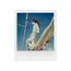 ფოტოფირი POLAROID COLOR FILM FOR I-TYPE FILM 40 PACK, 4 image - TechMall.geფოტოფირი POLAROID COLOR FILM FOR I-TYPE FILM 40 PACK, 4 image - TechMall.ge ,ფოტოფირი POLAROID COLOR FILM FOR I-TYPE FILM 40 PACK, 4 image - TechMall.ge