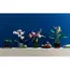 ლეგო LEGO Icons Orchid, 4 image - TechMall.geლეგო LEGO Icons Orchid, 4 image - TechMall.ge ,ლეგო LEGO Icons Orchid, 4 image - TechMall.ge