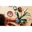 ლეგო LEGO Icons Orchid, 3 image - TechMall.geლეგო LEGO Icons Orchid, 3 image - TechMall.ge ,ლეგო LEGO Icons Orchid, 3 image - TechMall.ge