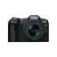 ციფრული ფოტოაპარატი Canon EOS R8 RF 24-50mm F4.5-6.3 IS STM, 5 image - TechMall.geციფრული ფოტოაპარატი Canon EOS R8 RF 24-50mm F4.5-6.3 IS STM, 5 image - TechMall.ge ,ციფრული ფოტოაპარატი Canon EOS R8 RF 24-50mm F4.5-6.3 IS STM, 5 image - TechMall.ge