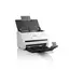 სკანერი Epson DS-770II WorkForce Color Document Scanner, 1200 DPI, A4, RGB LED B11B262401 White, 4 image - TechMall.geსკანერი Epson DS-770II WorkForce Color Document Scanner, 1200 DPI, A4, RGB LED B11B262401 White, 4 image - TechMall.ge ,სკანერი Epson DS-770II WorkForce Color Document Scanner, 1200 DPI, A4, RGB LED B11B262401 White, 4 image - TechMall.ge