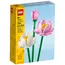 ლეგო LEGO Constructor ICO LOTUS FLOWERS - TechMall.geლეგო LEGO Constructor ICO LOTUS FLOWERS - TechMall.ge ,ლეგო LEGO Constructor ICO LOTUS FLOWERS - TechMall.ge