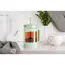 ჩაიდანი Ardesto AR1008LGB Fresh, 800ml, French Press, Light Green, 6 image - TechMall.geჩაიდანი Ardesto AR1008LGB Fresh, 800ml, French Press, Light Green, 6 image - TechMall.ge ,ჩაიდანი Ardesto AR1008LGB Fresh, 800ml, French Press, Light Green, 6 image - TechMall.ge