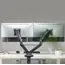 მონიტორის საკიდი Logilink BP0177 Dual monitor mount 17"-32" flat & curved monitors aluminum Black, 3 image - TechMall.geმონიტორის საკიდი Logilink BP0177 Dual monitor mount 17"-32" flat & curved monitors aluminum Black, 3 image - TechMall.ge ,მონიტორის საკიდი Logilink BP0177 Dual monitor mount 17"-32" flat & curved monitors aluminum Black, 3 image - TechMall.ge