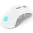 მაუსი Lenovo GY51C96033 Legion M600, Wireless, Bluetooth, USB, Gaming Mouse, Stingray, 3 image - TechMall.geმაუსი Lenovo GY51C96033 Legion M600, Wireless, Bluetooth, USB, Gaming Mouse, Stingray, 3 image - TechMall.ge ,მაუსი Lenovo GY51C96033 Legion M600, Wireless, Bluetooth, USB, Gaming Mouse, Stingray, 3 image - TechMall.ge