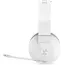 ყურსასმენი Lenovo GXD1C98345 Legion H600, Gaming Headset, Wireless, 3.5mm, USB, Stingray, 5 image - TechMall.geყურსასმენი Lenovo GXD1C98345 Legion H600, Gaming Headset, Wireless, 3.5mm, USB, Stingray, 5 image - TechMall.ge ,ყურსასმენი Lenovo GXD1C98345 Legion H600, Gaming Headset, Wireless, 3.5mm, USB, Stingray, 5 image - TechMall.ge
