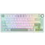 კლავიატურა Royal Kludge RK R75 RGB Mechanical Keyboard, K silver switch, Hot Swappable, Type-C wired, Sky Cyan - TechMall.geკლავიატურა Royal Kludge RK R75 RGB Mechanical Keyboard, K silver switch, Hot Swappable, Type-C wired, Sky Cyan - TechMall.ge ,კლავიატურა Royal Kludge RK R75 RGB Mechanical Keyboard, K silver switch, Hot Swappable, Type-C wired, Sky Cyan - TechMall.ge