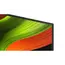 ტელევიზორი LG OLED55B5RLA.AMCN, 6 image - TechMall.geტელევიზორი LG OLED55B5RLA.AMCN, 6 image - TechMall.ge ,ტელევიზორი LG OLED55B5RLA.AMCN, 6 image - TechMall.ge