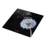 იატაკის სასწორი ARDESTO SCB-965BL, 2 image - TechMall.geიატაკის სასწორი ARDESTO SCB-965BL, 2 image - TechMall.ge ,იატაკის სასწორი ARDESTO SCB-965BL, 2 image - TechMall.ge