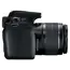 ფოტოაპარატი Canon EOS 2000D Black + Lens EF-S 18-55 IS II, 6 image - TechMall.geფოტოაპარატი Canon EOS 2000D Black + Lens EF-S 18-55 IS II, 6 image - TechMall.ge ,ფოტოაპარატი Canon EOS 2000D Black + Lens EF-S 18-55 IS II, 6 image - TechMall.ge